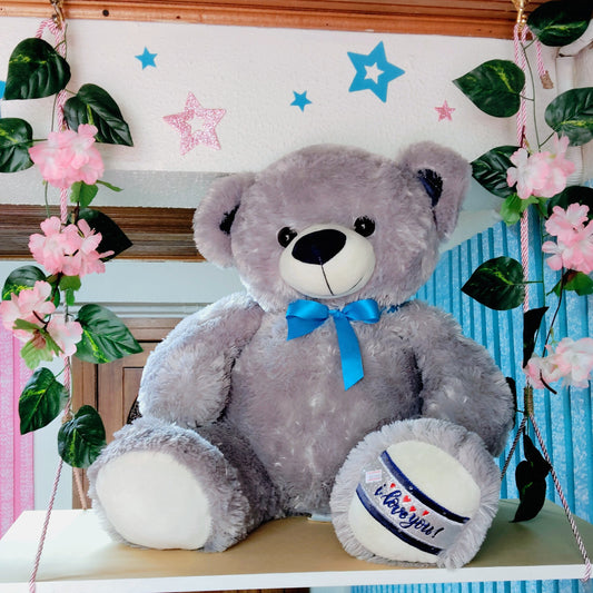 Peluche Oso Grande